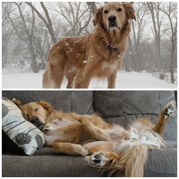 ''Before And After'' Photos (23 pics)