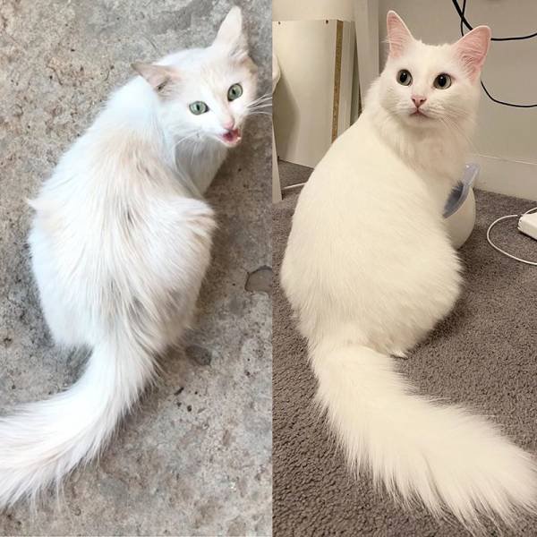 ''Before And After'' Photos (23 pics)