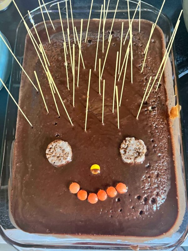 Cooking Failure (39 pics)