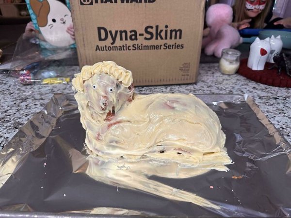 Cooking Failure (39 pics)