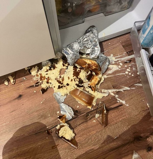 Cooking Failure (39 pics)