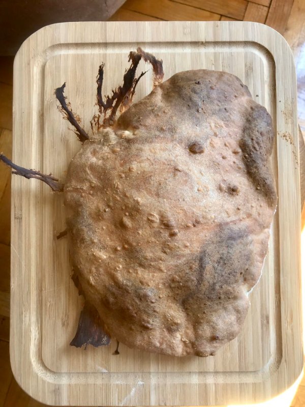 Cooking Failure (39 pics)