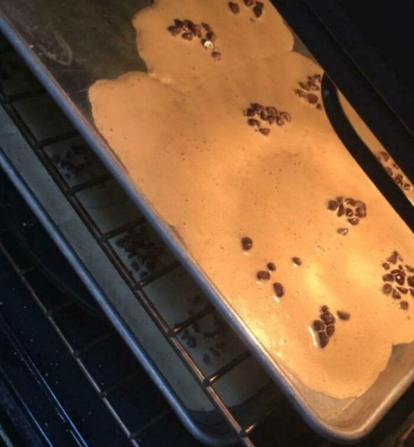 Cooking Failure (39 pics)