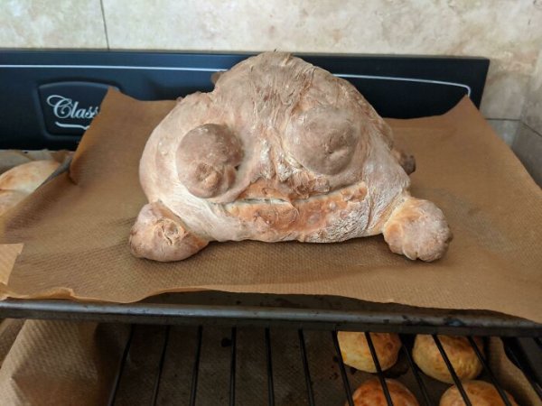 Cooking Failure (39 pics)