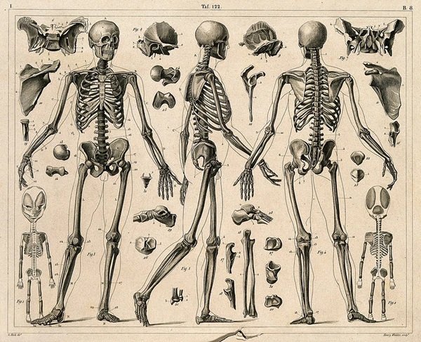 Interesting Facts (19 pics)