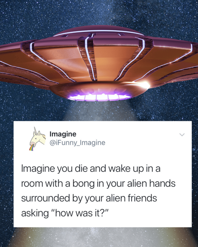 Funny Memes (44 pics)