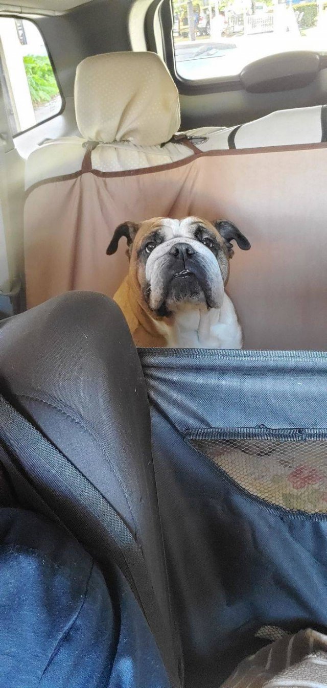 Finds Of Auto Mechanics (50 pics)