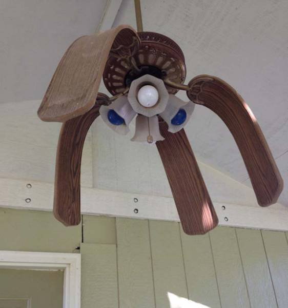 Bad Days Happen (41 pics)