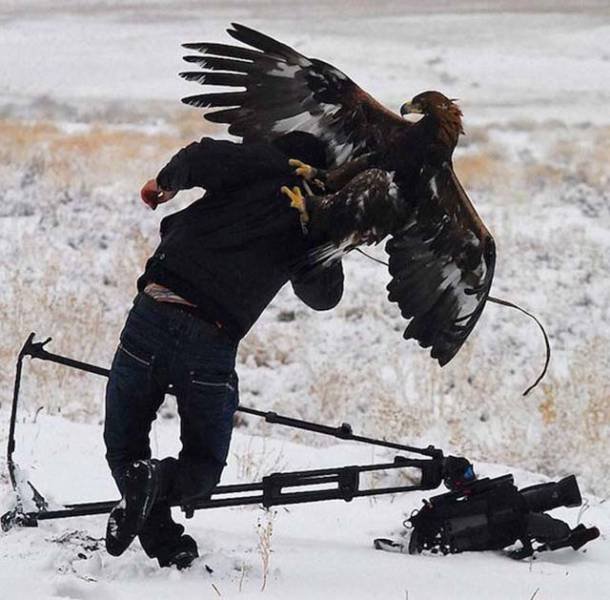 Bad Days Happen (41 pics)