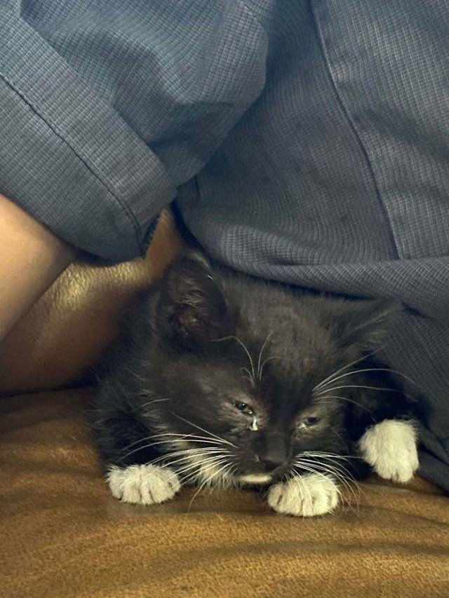 Finds Of Auto Mechanics (50 pics)