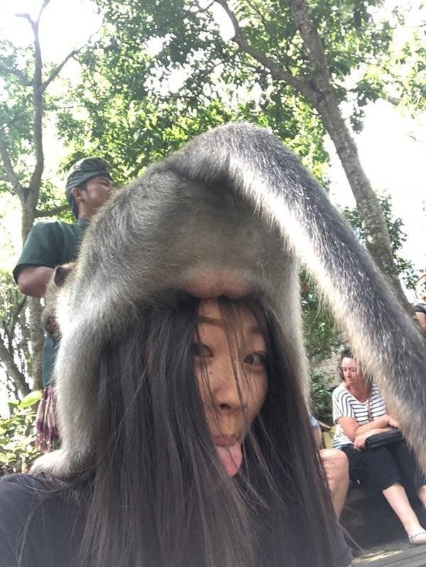 Strange Finds (44 pics)