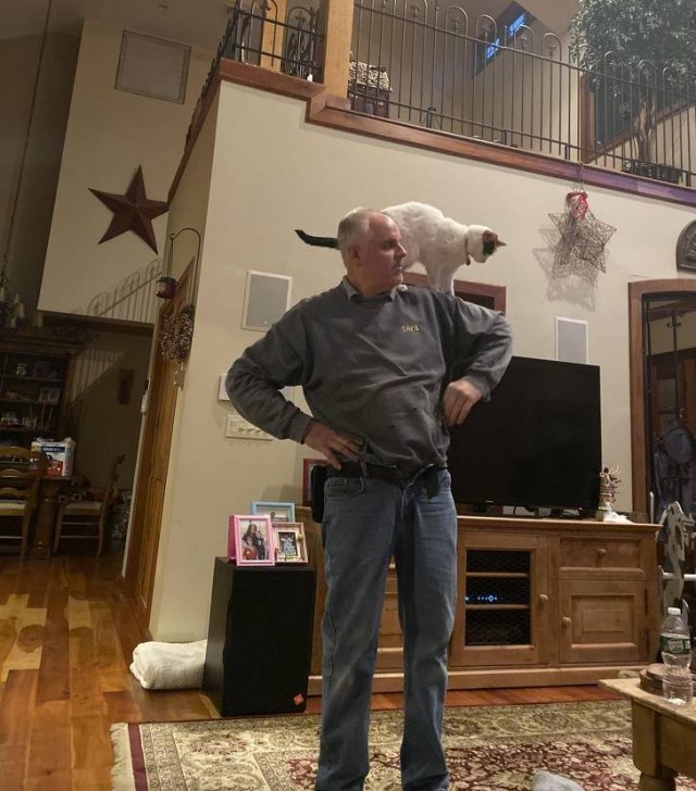 They Didn't Want Pets (20 pics)