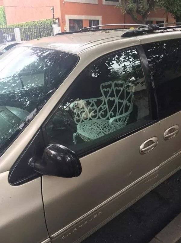 Strange Finds (44 pics)