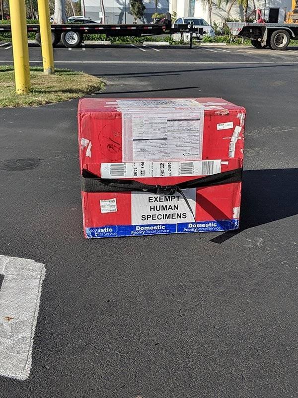 Strange Finds (44 pics)