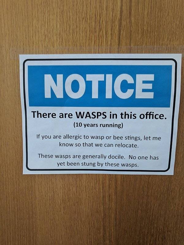 Strange Finds (44 pics)