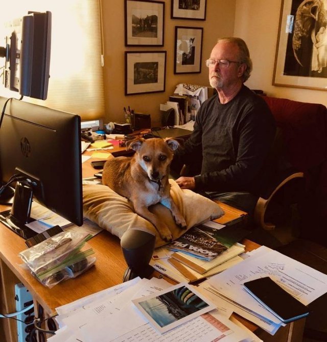 They Didn't Want Pets (20 pics)