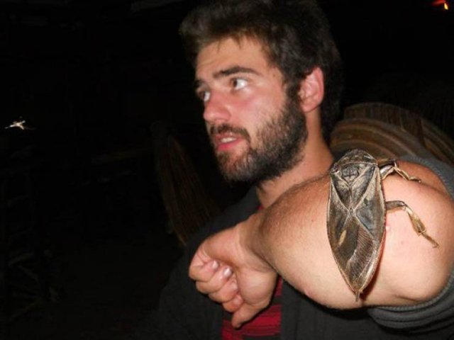 Strange Finds (44 pics)