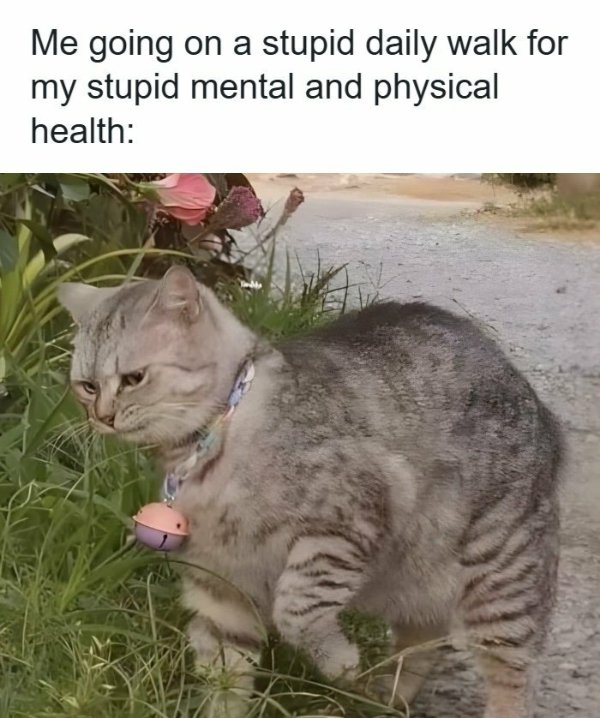 Funny Memes (35 pics)