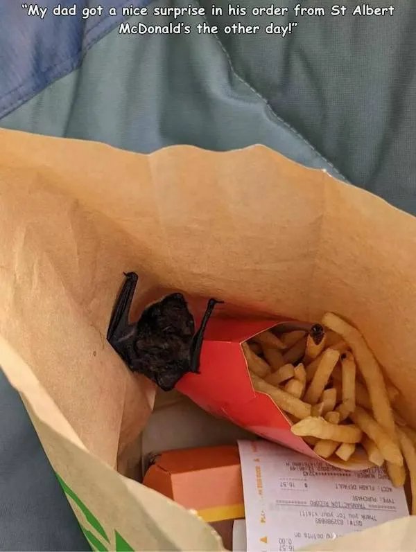 Scary Photos (28 pics)