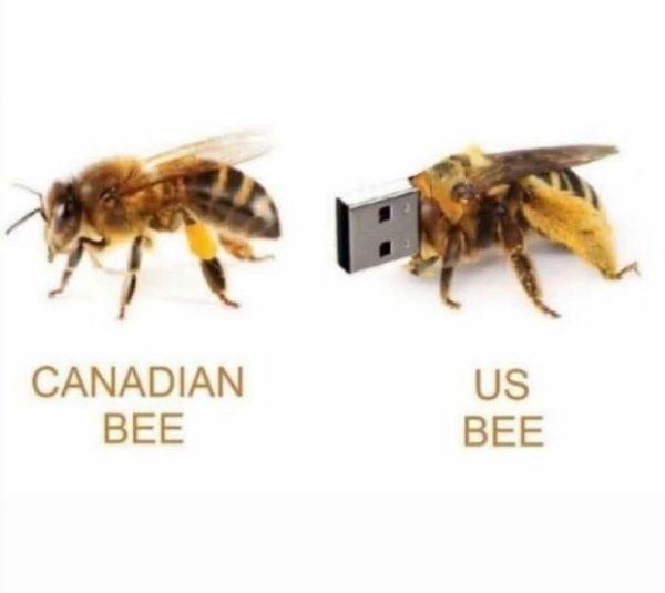 Funny Memes (35 pics)