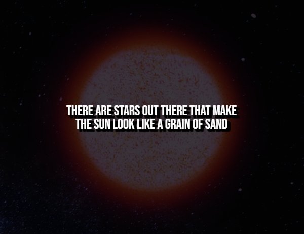 Creepy Facts (14 pics)