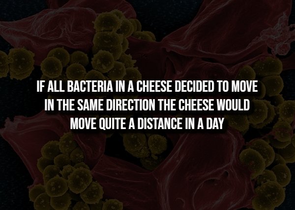 Creepy Facts (14 pics)