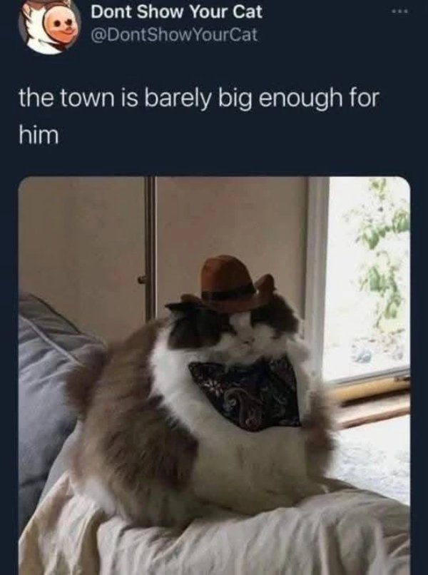 Funny Memes (30 pics)