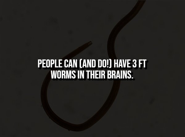 Creepy Facts (14 pics)