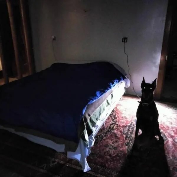 Scary Photos (28 pics)