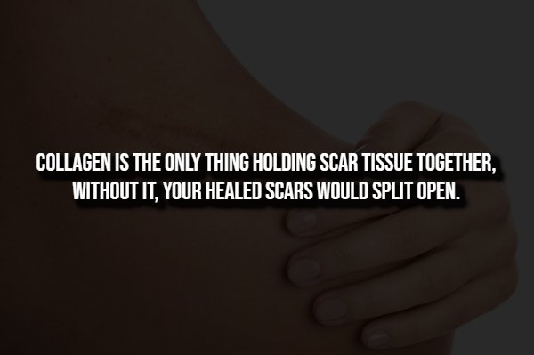Creepy Facts (14 pics)