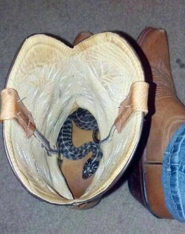 Scary Photos (28 pics)