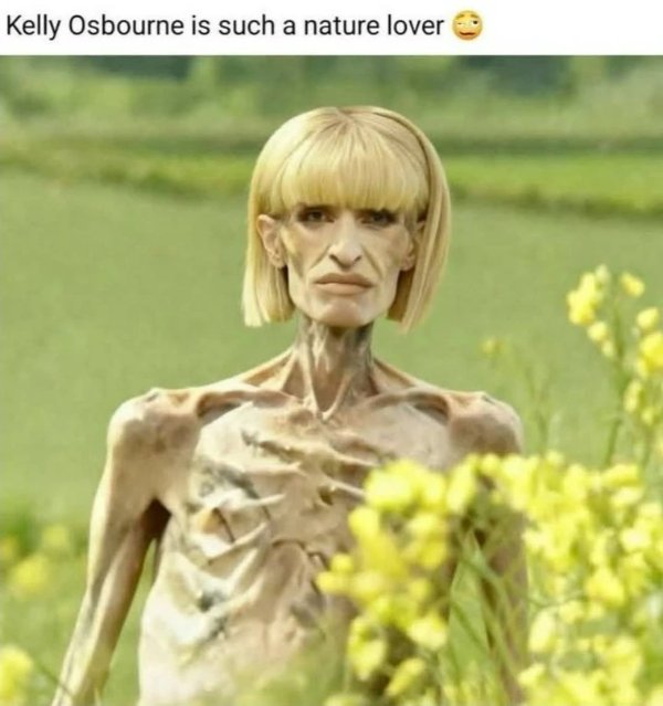 Funny Memes (30 pics)