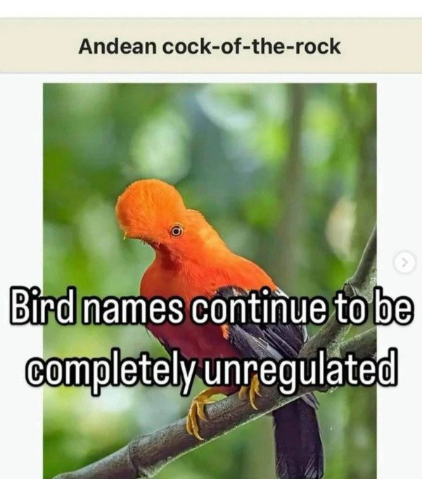 Funny Memes (30 pics)