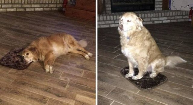 Unsuccessful Online Purchases (14 pics)