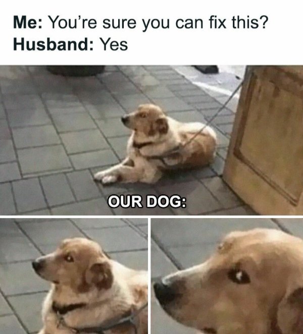 Memes About Marriage (40 pics)