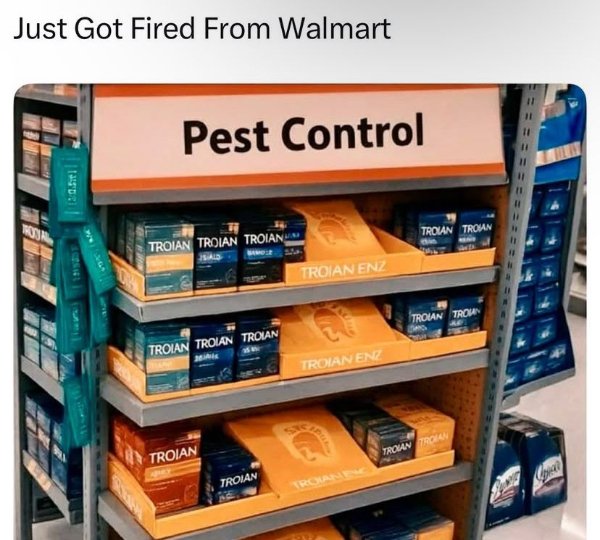 Work Memes (31 pics)