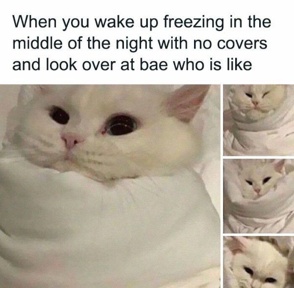 Memes About Marriage (40 pics)