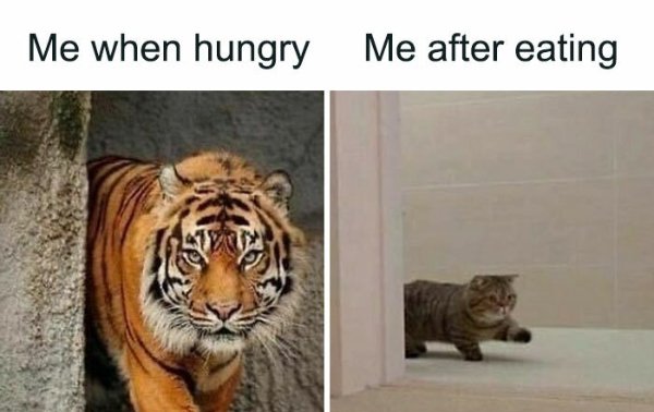 Memes About Marriage (40 pics)
