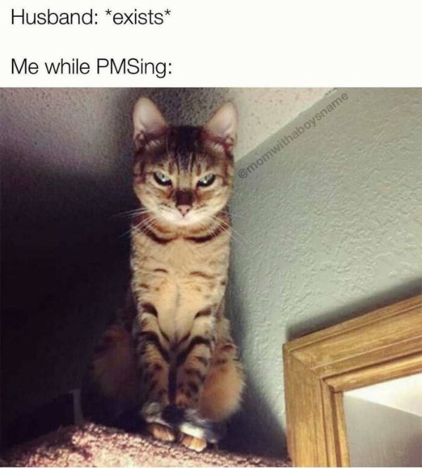 Memes About Marriage (40 pics)