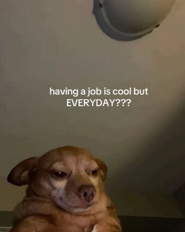 Work Memes (31 pics)