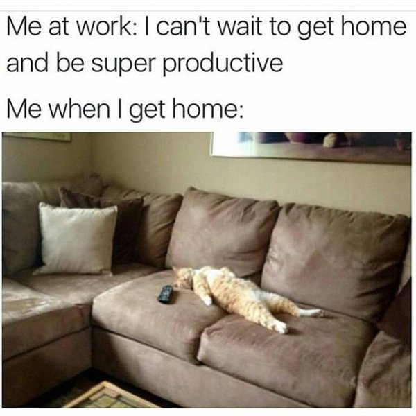 Work Memes (31 pics)