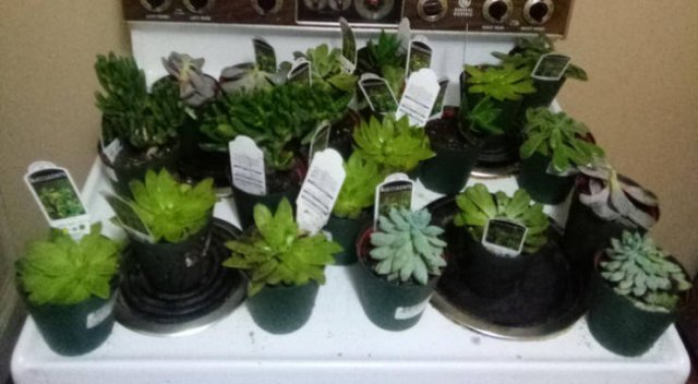 Cool Free Finds (18 pics)