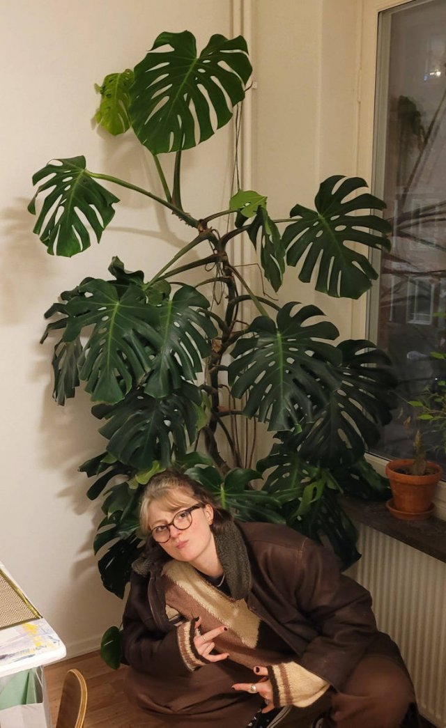 Cool Free Finds (18 pics)