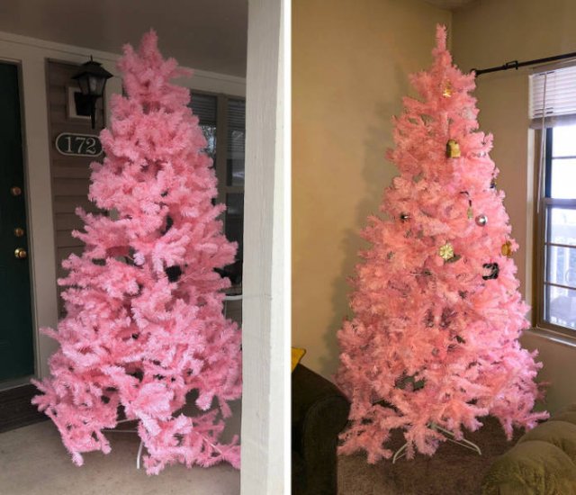 Cool Free Finds (18 pics)