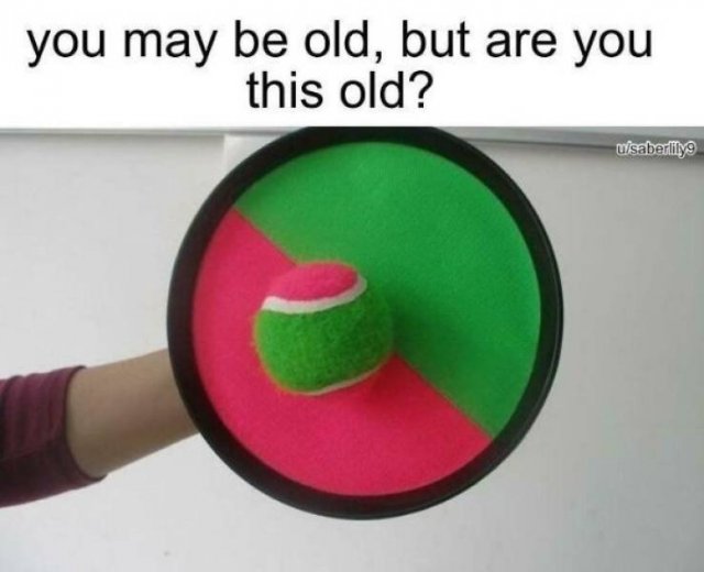 Nostalgic Memes (58 pics)
