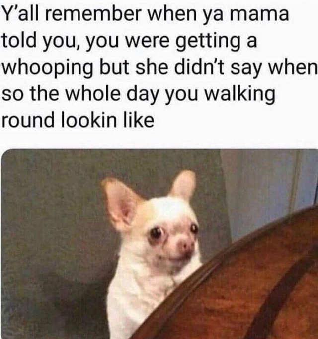 Nostalgic Memes (58 pics)