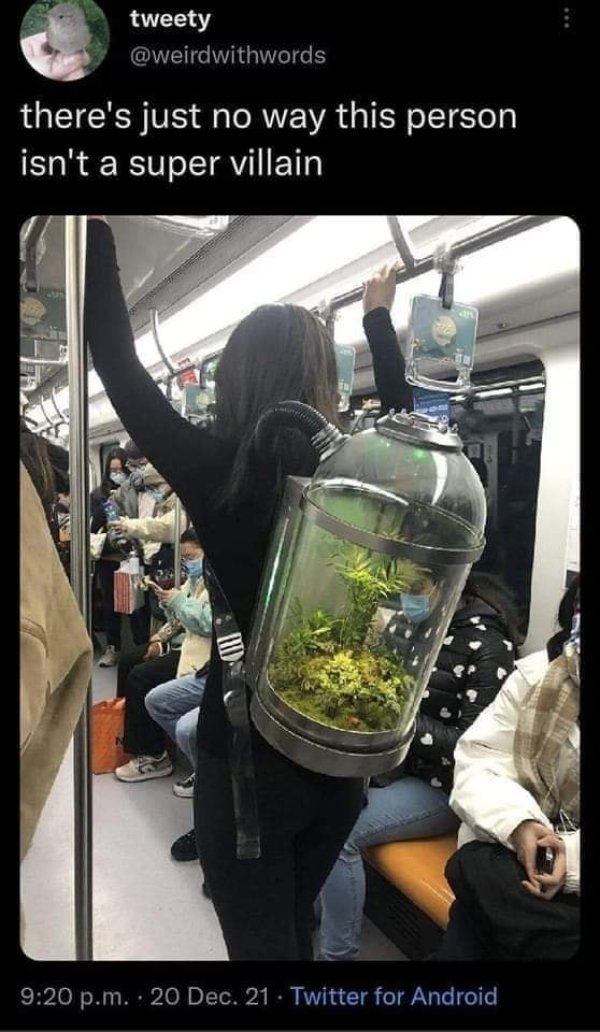 What Is Going On Here? (30 pics)