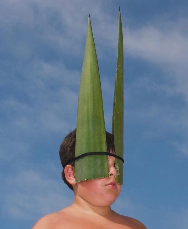 What Is Going On Here? (30 pics)