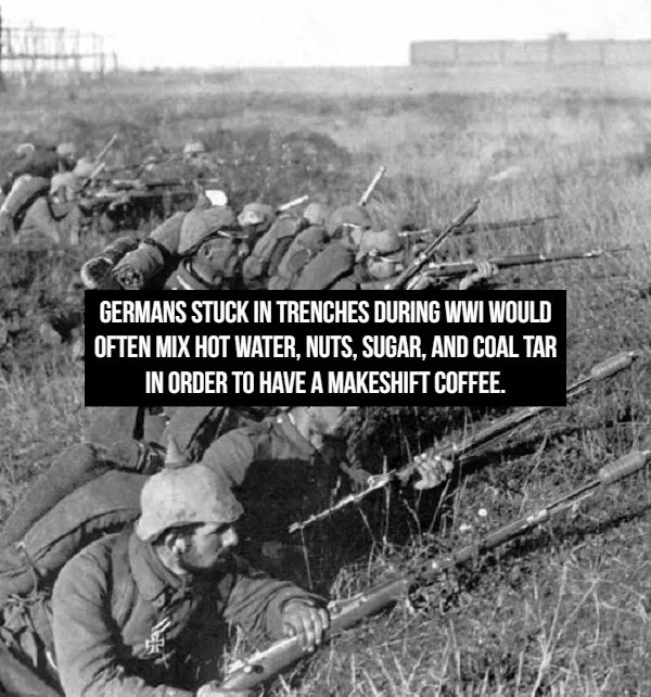 Interesting Historical Facts (14 pics)