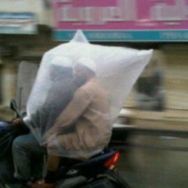 What Is Going On Here? (30 pics)